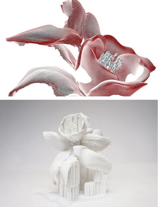 flowers_printed.jpg